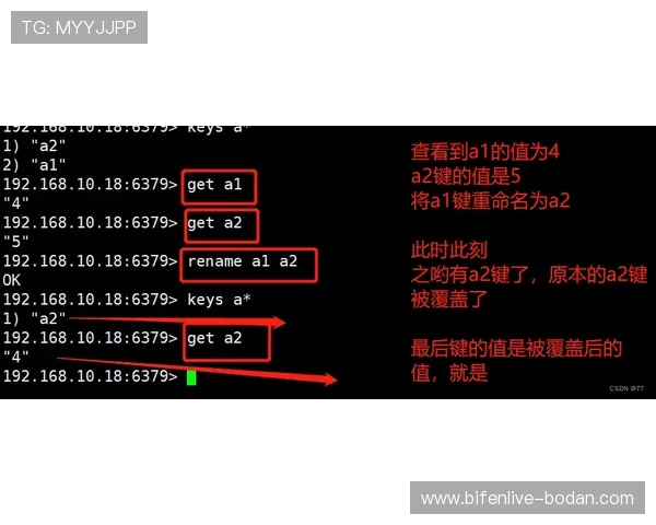 西甲波胆历史数据避坑指南高频玩法防骗秘诀